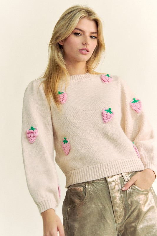 Davi & Dani Whimsical Crochet Strawberry Round Neck Sweater - Cozy & Stylish