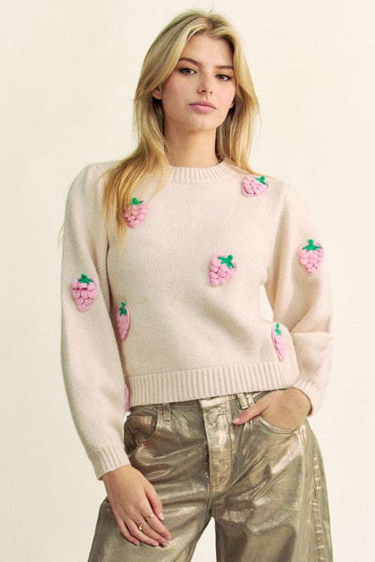 Davi & Dani Whimsical Crochet Strawberry Round Neck Sweater - Cozy & Stylish